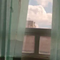 اجاره واحدپردیس وپرندسوییت دربست با کمترین هزینه