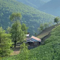 اجاره انواع ویلا سنتی و مدرن نوساز