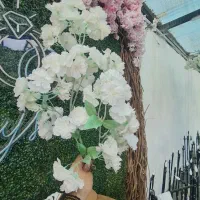 گل شکوفه سفید و صورتی خارجی