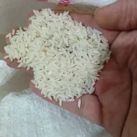 برنج طارم هاشمی درشت|خوردنی و آشامیدنی|آمل, |دیوار