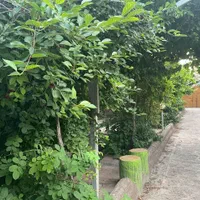 باغ ویلا ۱۵۰۰ متر مربع فول ( بازمرگان  باران )|فروش خانه و ویلا|مشهد, الهیه|دیوار