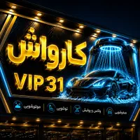 نیرو کار در کارواش