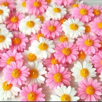 گیفت|صنایع دستی و سایر لوازم تزئینی|زنجان, |دیوار