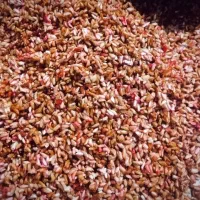 ناردونه ترش و بسیار خوشمزه