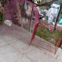 قفس پرنده