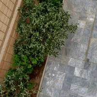 اجاره مشتاق سوم روبروی بیمارستان قلب چمران ۱۰۲ متر