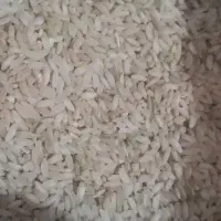 برنج چمپا اصل درجه ۱