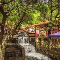 تور تفریحی مختص بانوان