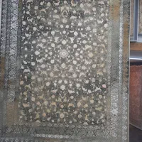 پخش فرش ۱۲۰۰شانه۷۰۰شانه۱۵۰۰شانه زیرقیمت بازار|فرش|مشکین‌دشت, |دیوار