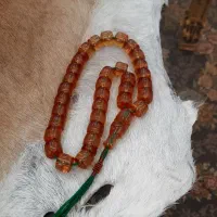 گمشده در داخل تاکسی