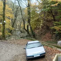 فروش پژو 405چیده فقط برون