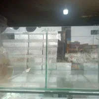 استند شکلات شیشه ای چهار طبقه|فروشگاه و مغازه|خرمدره, |دیوار