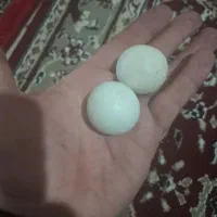 سنگ آسیاب الماس کهنه قدیمی