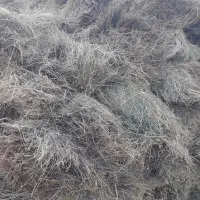 علوفه یونجه
