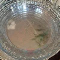 ظروف سرامیکی وقاشق وچنگال|ظروف سرو و پذیرایی|ساری, |دیوار