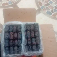 خرمایی مضافتی