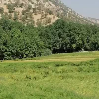 برگزاری ایونت و ورک شاپ