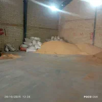 فروش دان طیور و دام سبک و سنگین|حیوانات مزرعه|قم, علی آباد سعدگان|دیوار