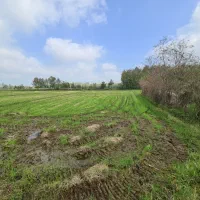 ۲۰۰۰متر زمین کشاورزی کاملا یکدست نزدیک امتیازات|فروش دفتر صنعتی، کشاورزی، تجاری|خمام, |دیوار