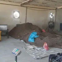 کارگاه شورکاری انواع تخمه و انواع تنقلات