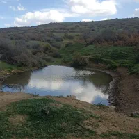 ادونچر.کوهنورد همنورد