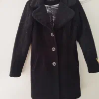 تعدادی پالتو