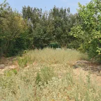 زمین-200-متری-نوکنده