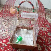 قفس فروشی درحدنو