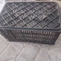 سبد گوجه