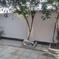 نقاشی ساختمان