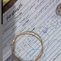 طلا