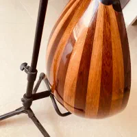عود زریاب عراقی