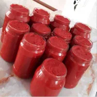 رب خانگی.خیارشور.شیره انگور
