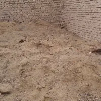 کود گونی شده