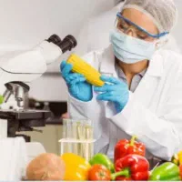 مسئول فنی و کنترل کیفی صنایع غذایی