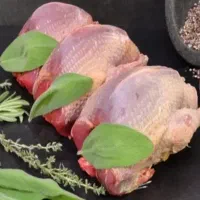 گوشت کبوتر سرشار از ویتامین و مواد مغذی بمب انرژی