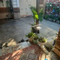 فروش-یک-دستگاه-خانه-قدیمی-بازسازی-شده