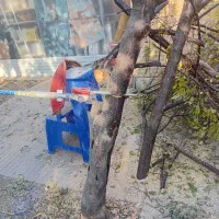 اره موتوری و چاله کن|خدمات باغبانی و درختکاری|مهاجران, |دیوار