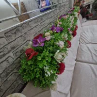 گلهای پنل یک متری همه کاره