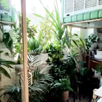 ۷۳متر/فول بازسازی/اکازیون|فروش آپارتمان|تهران, علی‌آباد|دیوار