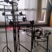 گلدان|گل و گیاه طبیعی|تهران, سوهانک|دیوار