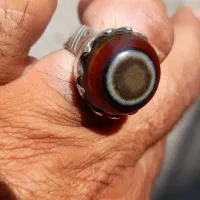 سه پوست سلیمانی