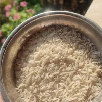 برنج هاشمی درجه یک