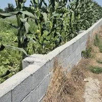 باغچه 150 بهنمیر