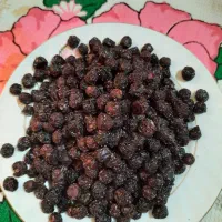 آلبالو خشک آفتابی زغال اخته آلو و گیلاس خشک افتابی|خوردنی و آشامیدنی|اندیشه, اندیشه فاز ۴|دیوار