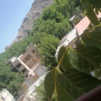 مسافرت