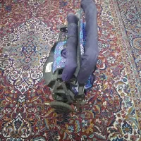 کالسکه|کالسکه و لوازم جانبی|برازجان, |دیوار