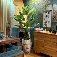 زیبایی سبز بدون دردسر