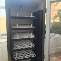 دستگاه جوجه کشی