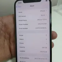 اپل iPhone 12 Pro با حافظهٔ ۲۵۶ گیگابایت|موبایل|مراغه, |دیوار